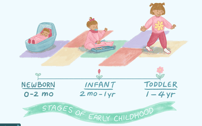 difference between newborn, infant, and toddler