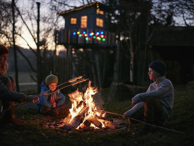 Mature woman and two sons toasting marshmallows on campfire at night