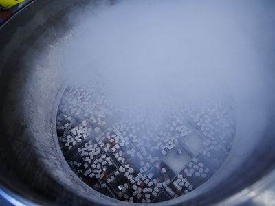 Vials of donor sperm frozen by liquid nitrogen in a holding tank at the California Cryobank