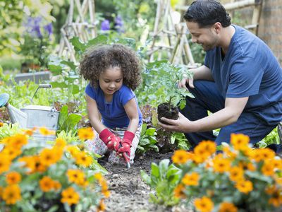 Father and daughter gardening together