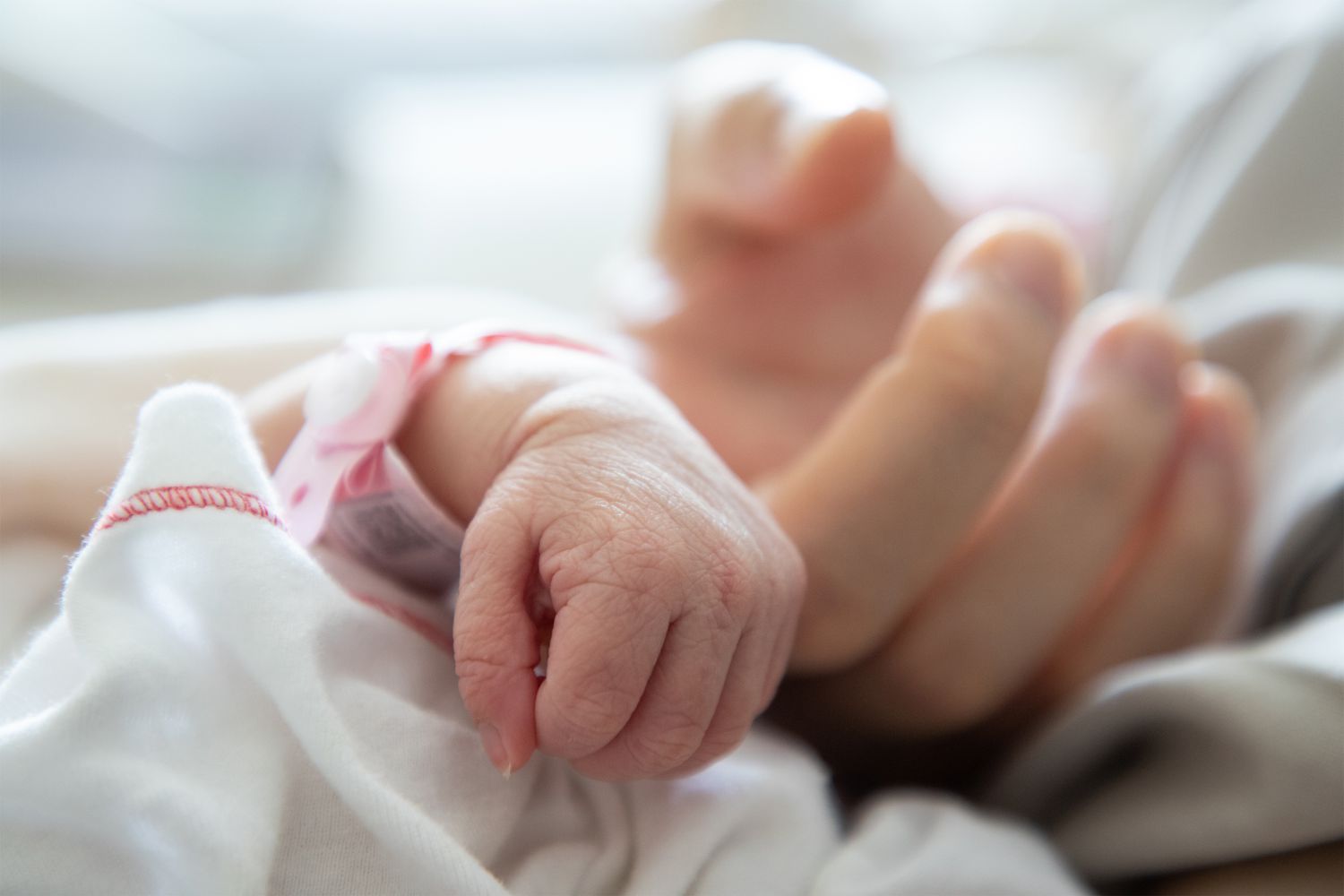 Pre-term baby's hand holds finger of an adult