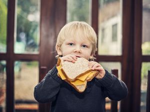 孩子正在吃奶酪三明治