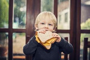 孩子正在吃奶酪三明治