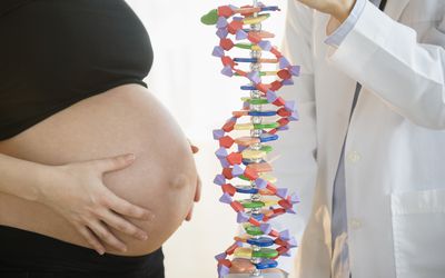 孕妇和医生检查DNA模型