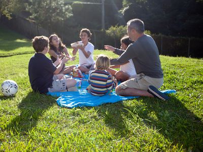 Family having a picnic