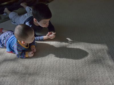 Shadow puppets on floor