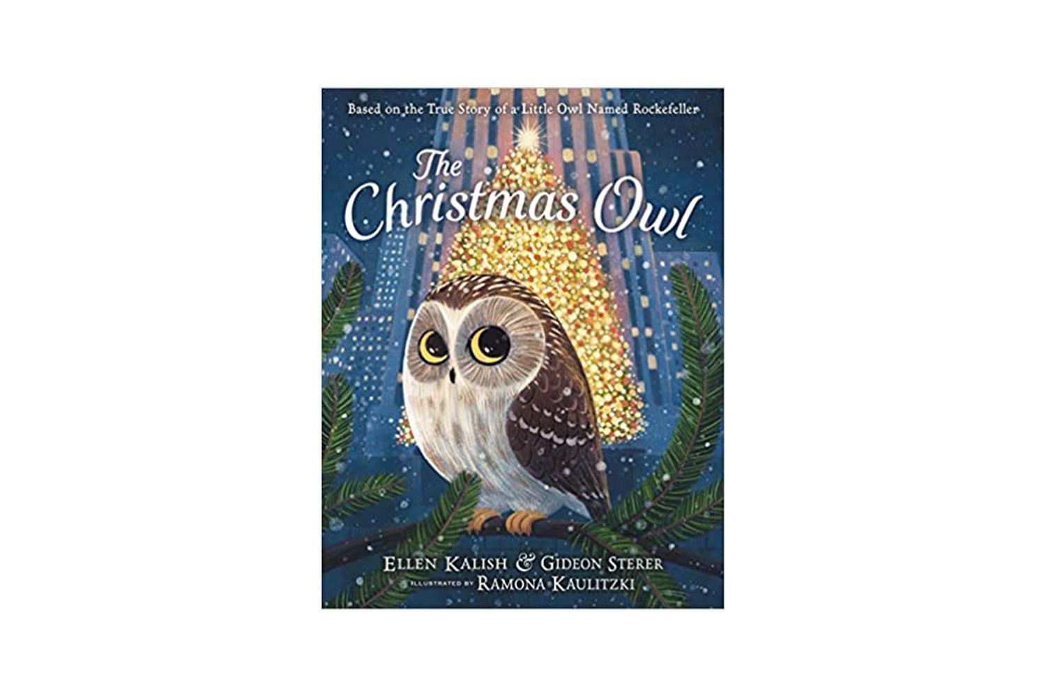 the-christmas-owl-based-on-the-true-story-of-a-little-owl-named-rockefeller