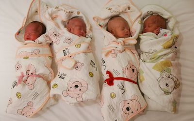 swaddled babies