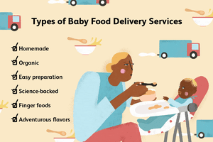 Baby food delivery services