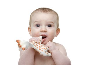 婴儿用嘴叼着一只玩具长颈鹿