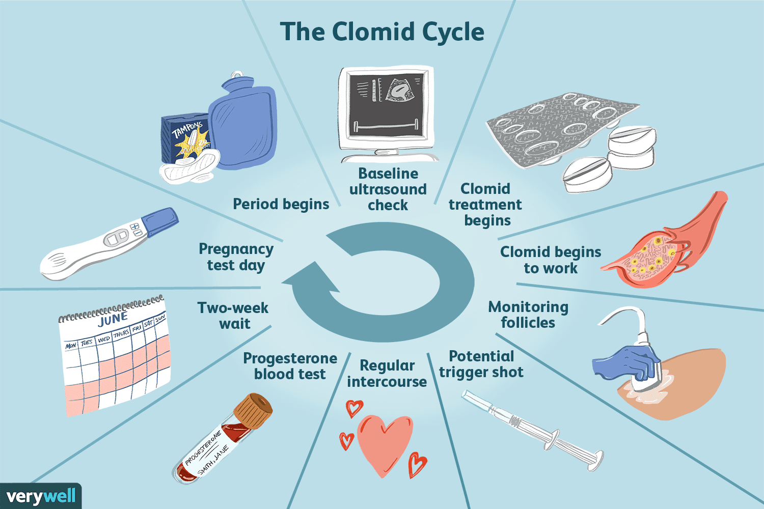 clomid循环