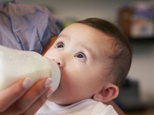 婴儿用奶瓶喝配方奶粉