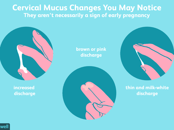 cervical mucus changes