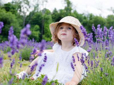 Little girl sitting in a field of purple flowers