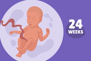 华体会体育官方人口怀孕周:第24周