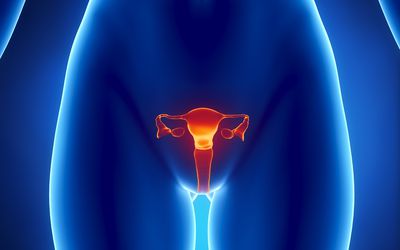 女性生殖系统x光片