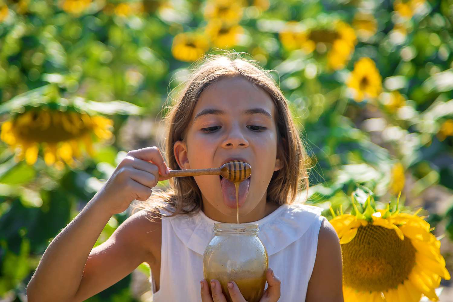 child eating honey in a field of sunflowers