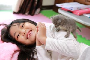 小女孩和小猫玩耍