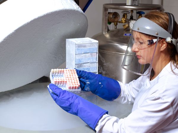 Scientist removing human cells from liquid nitrogen storage