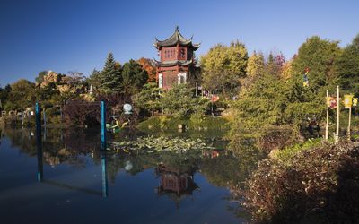 Chinese garden in Autumn, Montreal