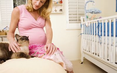 孕妇爱抚猫