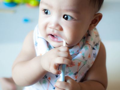 Asian baby holding a toothbrush with two hands