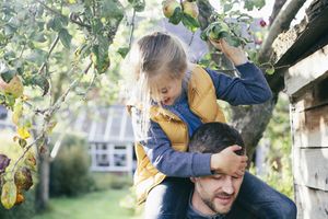 女儿在父亲的肩膀上，从树上摘苹果