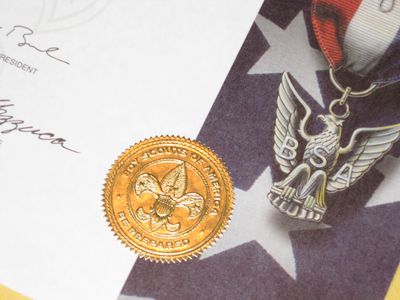 Eagle Certificate