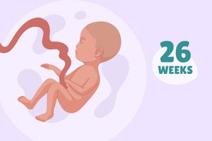 华体会体育官方人口怀孕周:第26周