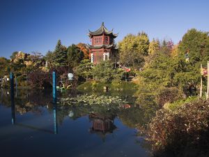 Chinese garden in Autumn, Montreal