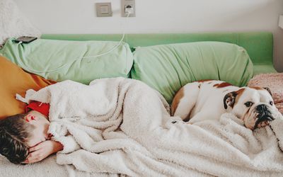 Child in bed with their dog