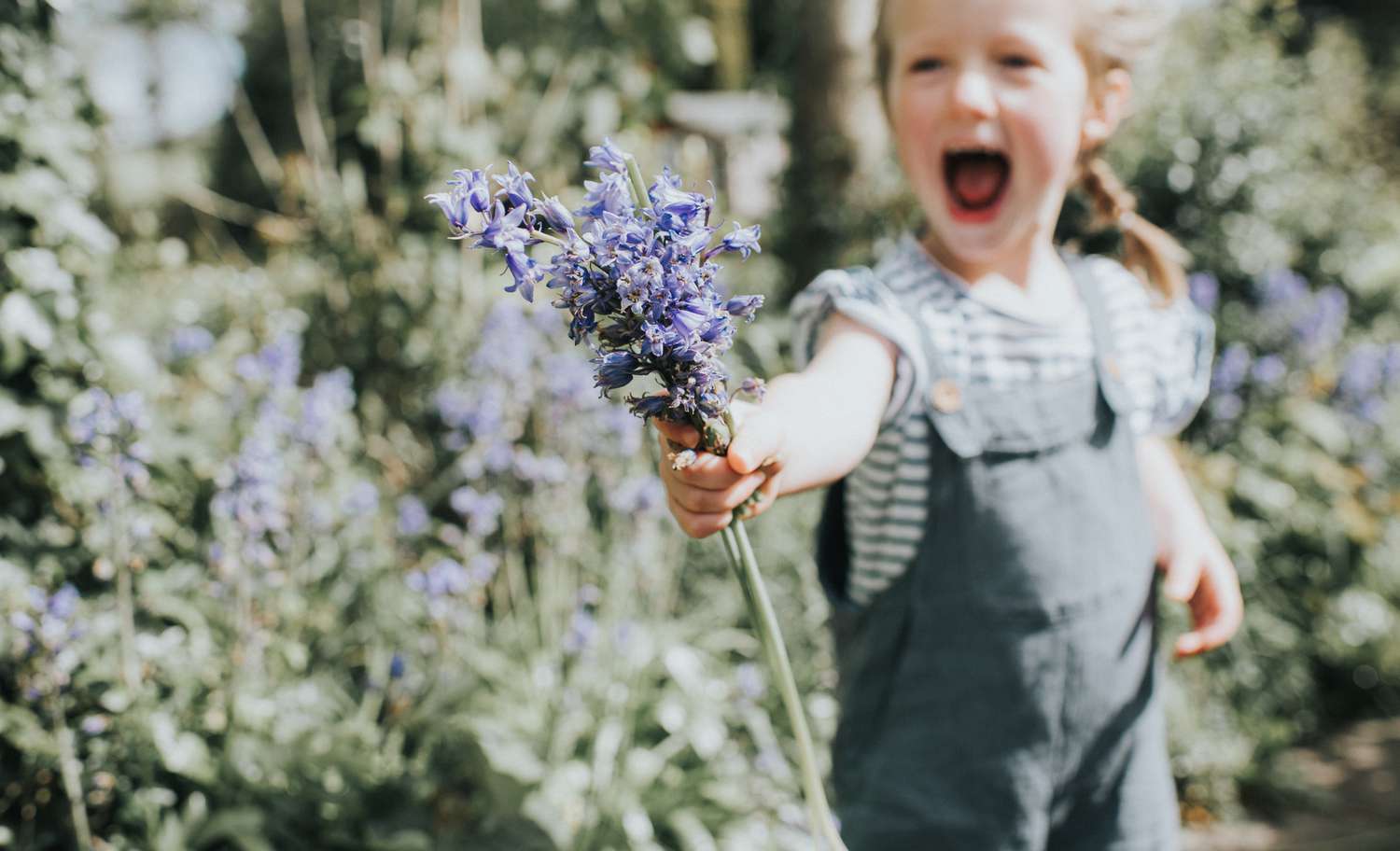 little girl in a field holding bluebell flowers