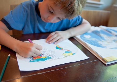 Boy coloring a map.