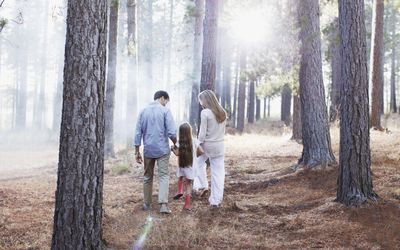 Family holding hands and walking in sunny woods