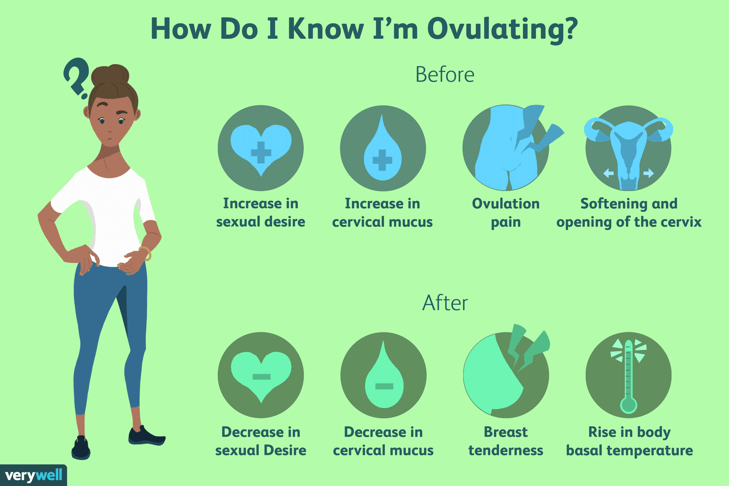 How To Know If You Re Ovulating If You Have Irregular Periods at Zac ...