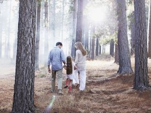 Family holding hands and walking in sunny woods