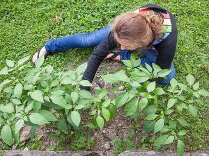 Teach your teen how to grow a garden.