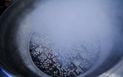 用液氮冷冻的捐赠精子在加州精子银行的储存罐中