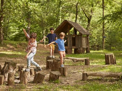 Children playing on logs in woods