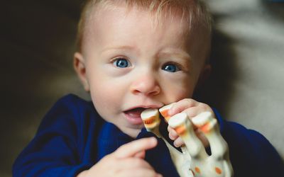 Baby chewing on toy