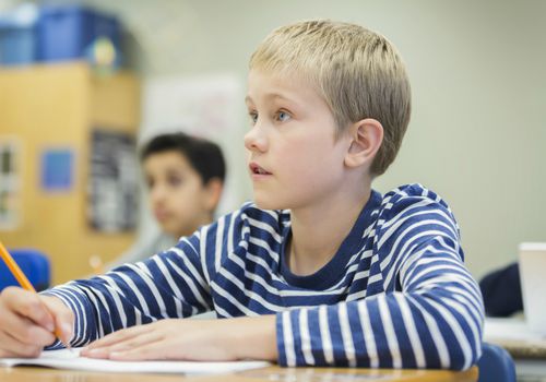 Boy in school