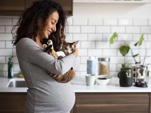 pregnant person holding cat